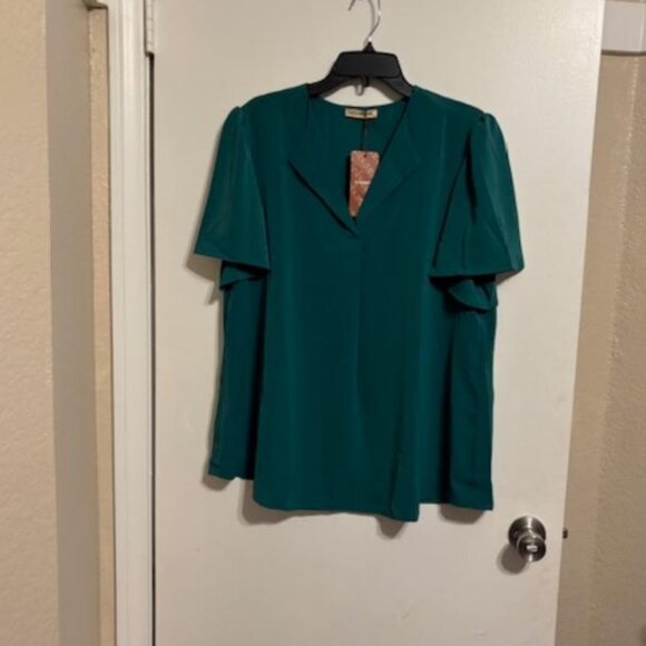 Unixseque Green, V Neck Chiffon Blouse Size XL - Picture 4 of 5